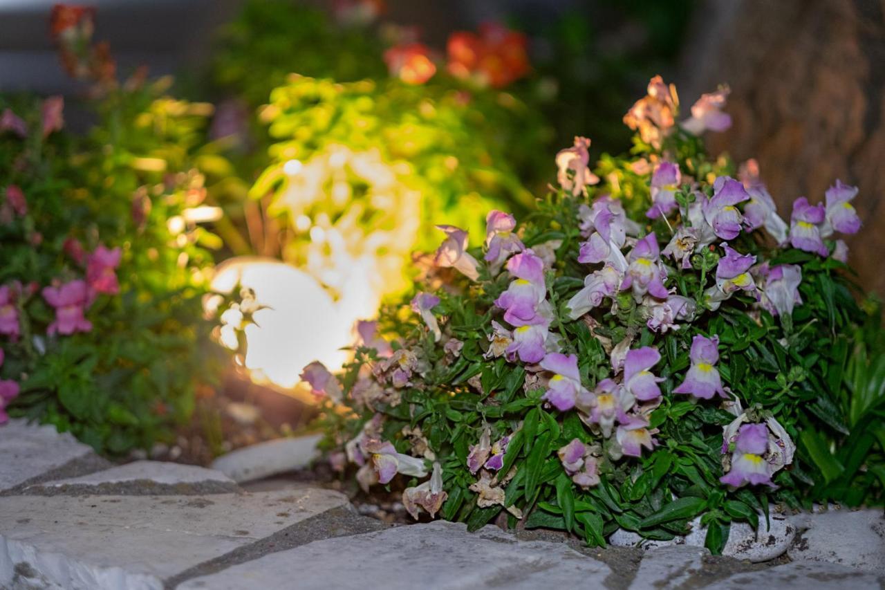 Cottage Hill Agios Ilias  ภายนอก รูปภาพ